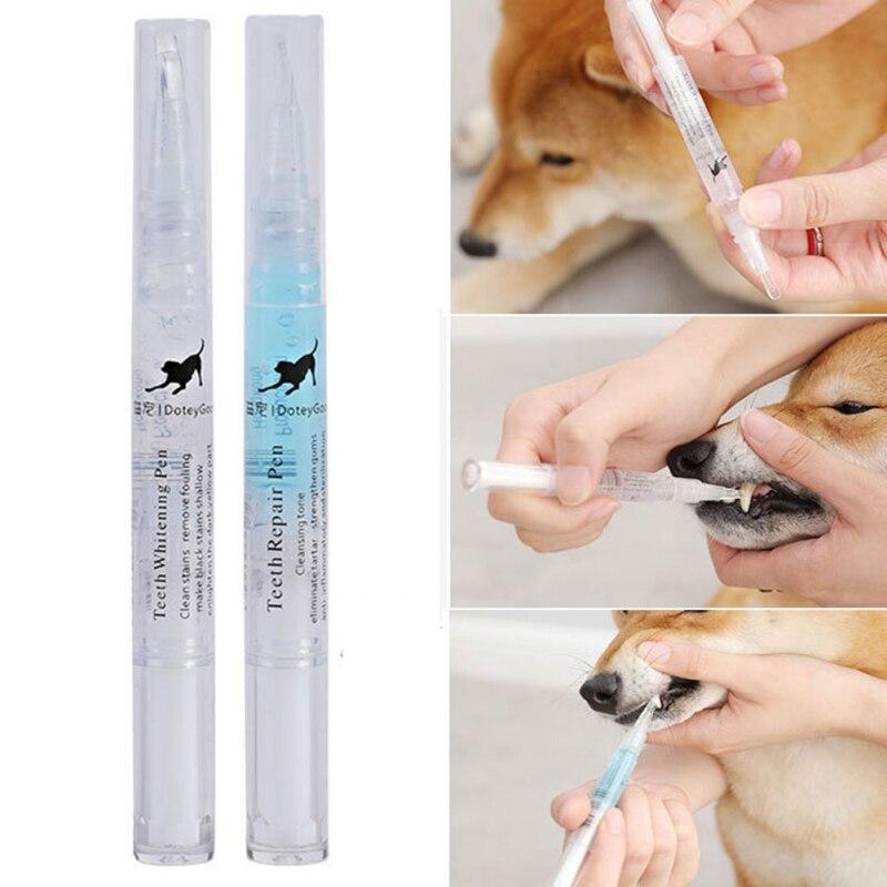 Kit de soin des dents et des gencives pour chien