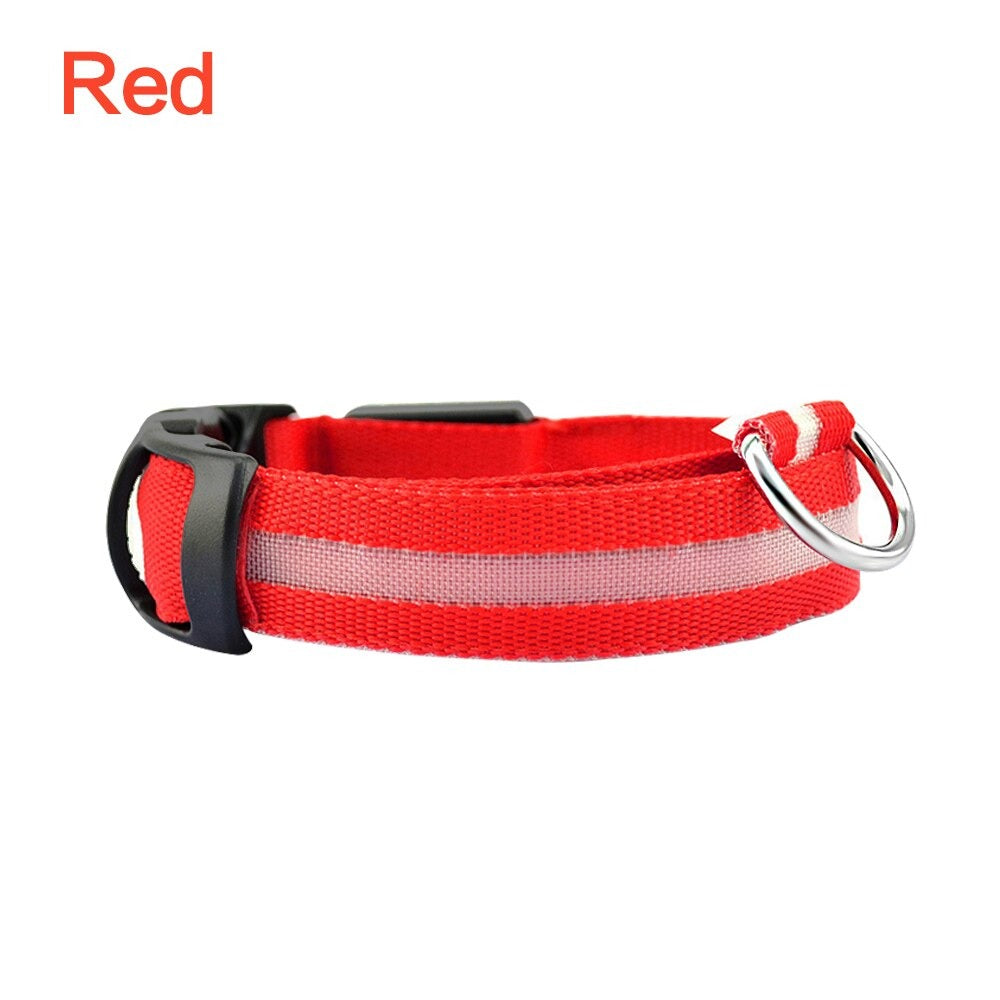 Collier LED réglable pour améliorer la visibilité du chien