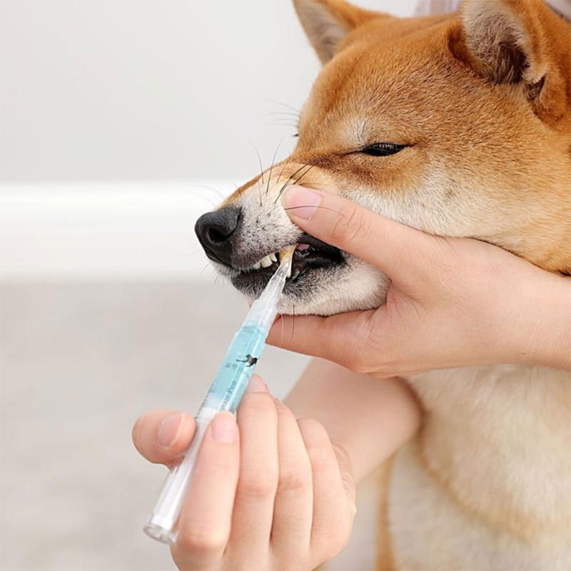 Brosse souple pour soins dentaires du chien