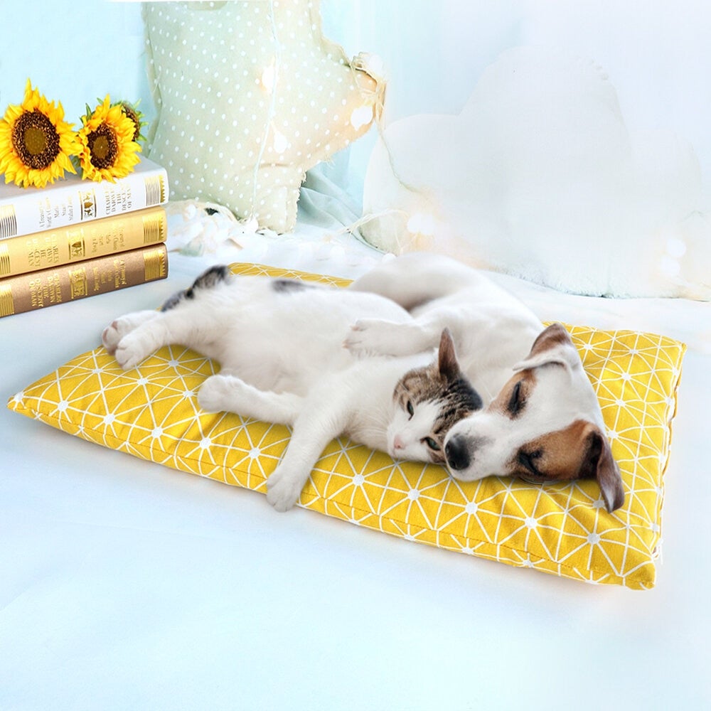 Coussin douillet pour chiot et petit chien