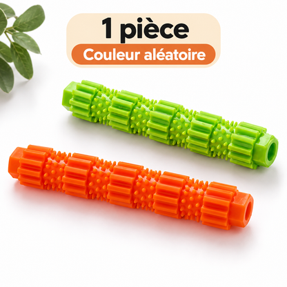 Jouet dentaire à mâcher pour chien, 1 pièce, couleur aléatoire