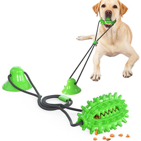 Jouet dentaire pour chien avec distributeur de friandises et ventouses