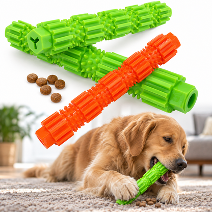 Chien jouant avec un jouet dentaire à mâcher pour favoriser l'hygiène bucco-dentaire