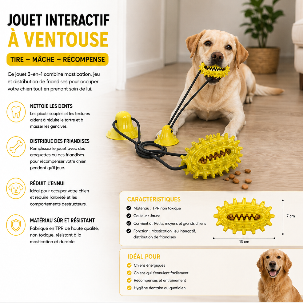 Jouet interactif pour chien avec ventouses, corde et distribution de friandises