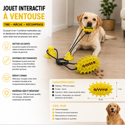 Jouet interactif pour chien avec ventouses, corde et distribution de friandises