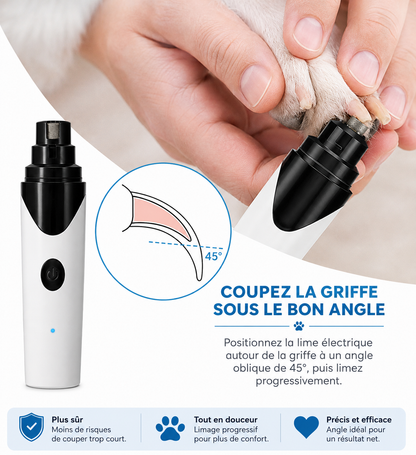 Lime à griffes pour chien et chat utilisée à 45 degrés pour un limage précis et progressif