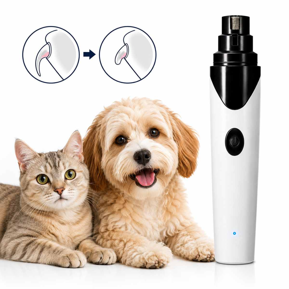 Lime à griffes pour chien et chat avec comparaison avant après du limage des griffes