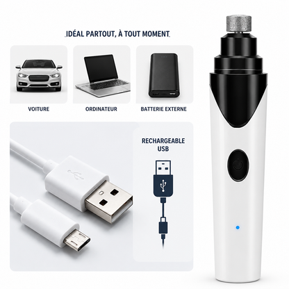 Lime à griffes pour chien et chat rechargeable par USB, utilisable avec une voiture, un ordinateur ou une batterie externe