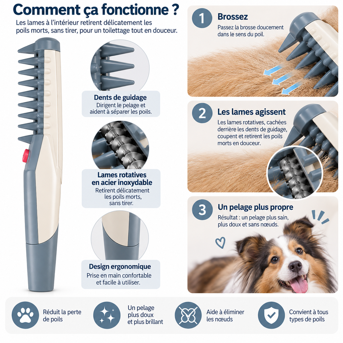 Détail du peigne électrique de toilettage pour chien