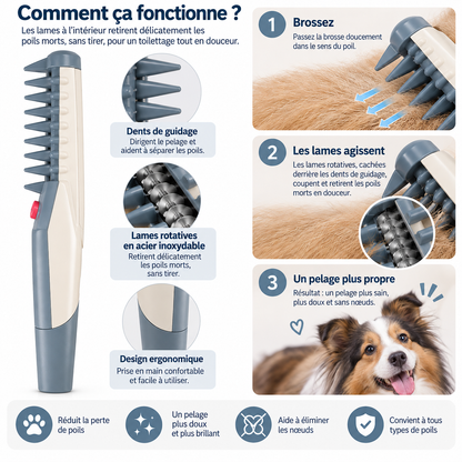 Détail du peigne électrique de toilettage pour chien